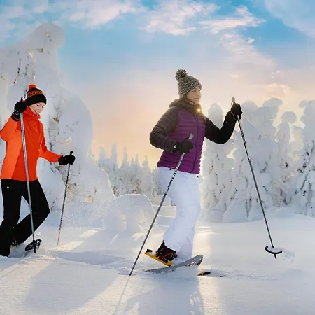 Ukkohalla Апарт-отель Hyrynsalmi